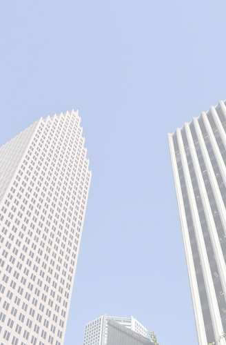 新得利·(中国)有限公司官网