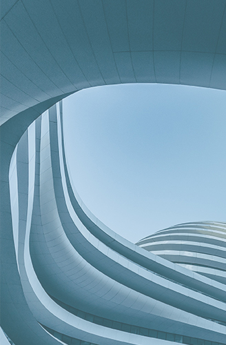 新得利·(中国)有限公司官网